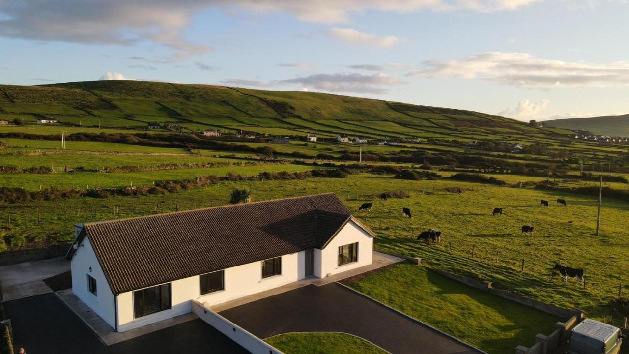 Dingle Way Snug, Luxury Apartment Exteriör bild